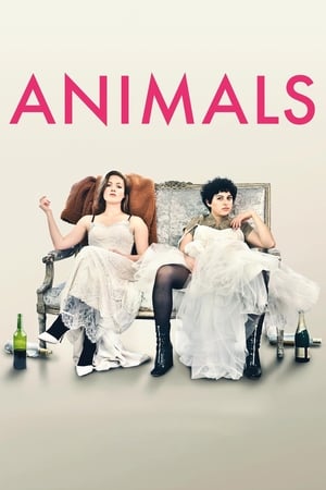 poster image