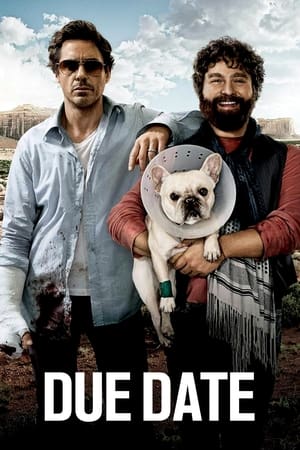 poster image