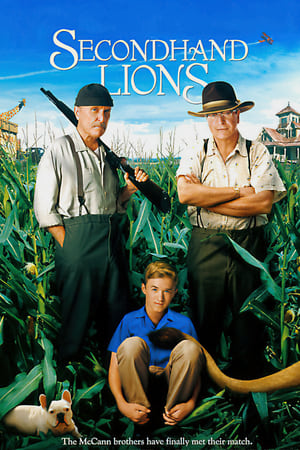 poster image