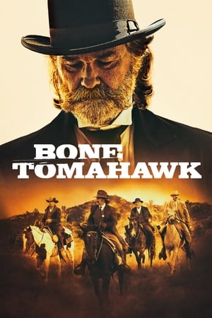 poster image