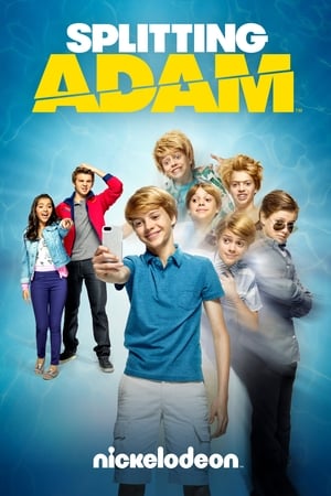 poster image