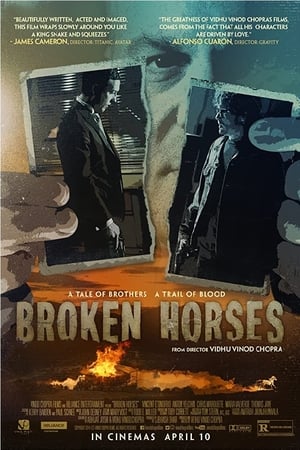 poster image