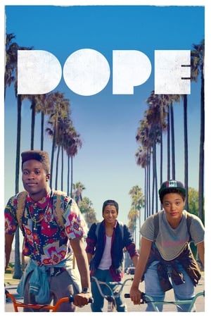 poster image