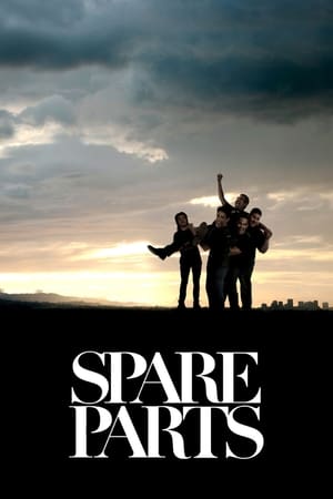 poster image