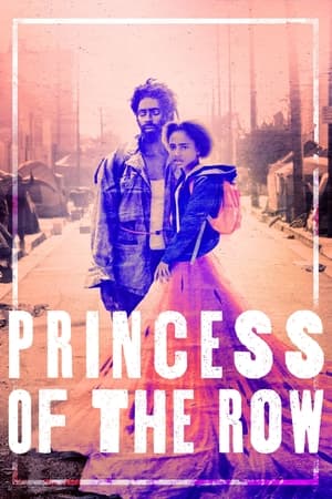 poster image