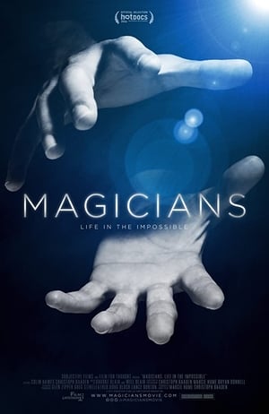 poster image
