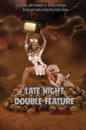 poster image