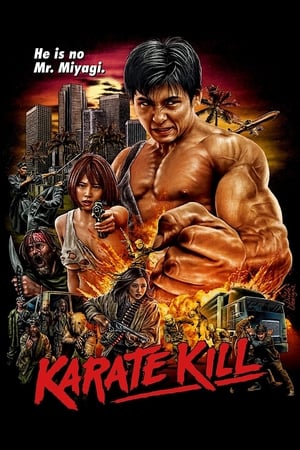 poster image
