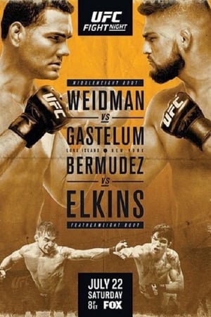 poster image