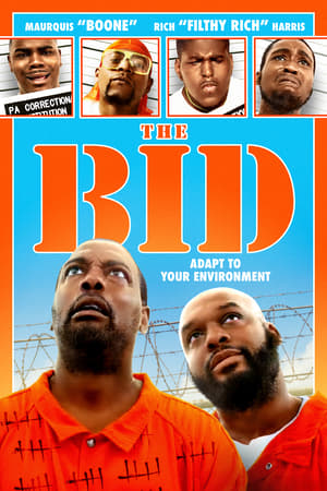 poster image
