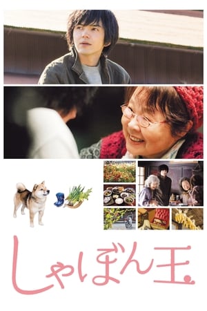 poster image