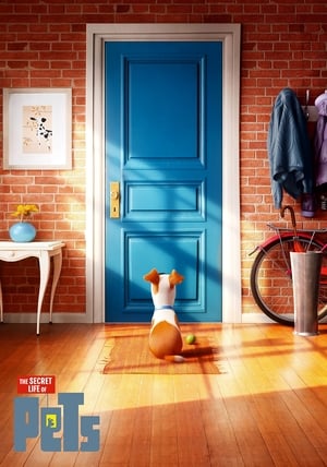 poster image