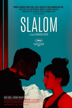 poster image