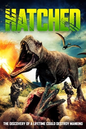 poster image