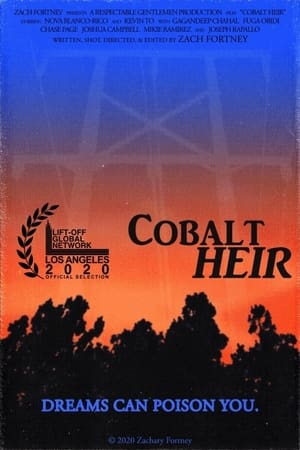 poster image