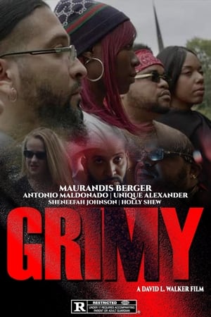 poster image