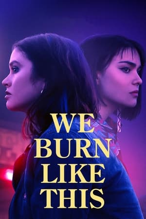 poster image