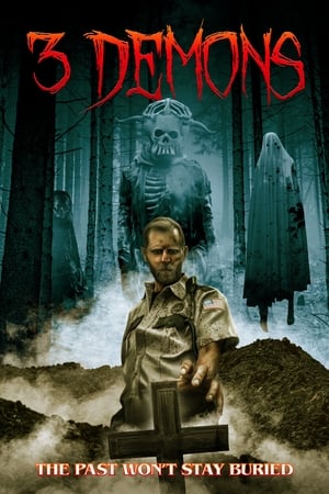 poster image