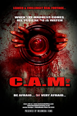 poster image
