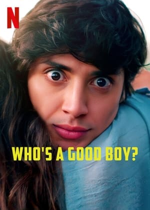 poster image