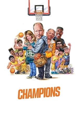 poster image