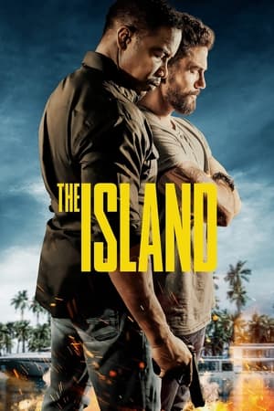 poster image